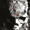 Blight "Temple of wounds" CD