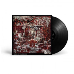 Nekromantheon "Visions of trimegistos" LP vinyl