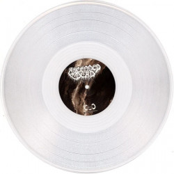 Ascended Dead/Atomicide "Split" EP vinilo transparente