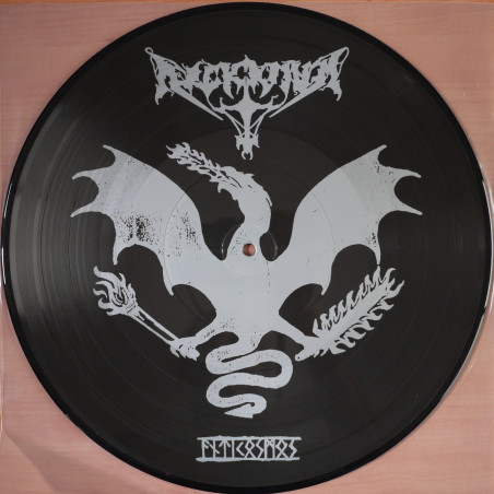 Arckanum "Antikosmos" LP picture disc