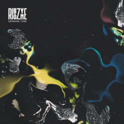Ribozyme "Grinding tune" LP vinilo