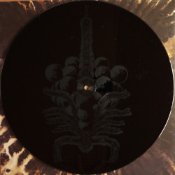 Tombs "Savage gold"2 LP vinyl