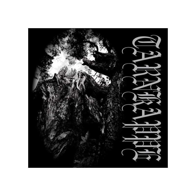 Tarnkappe "Tussen hun en de zon" LP vinilo