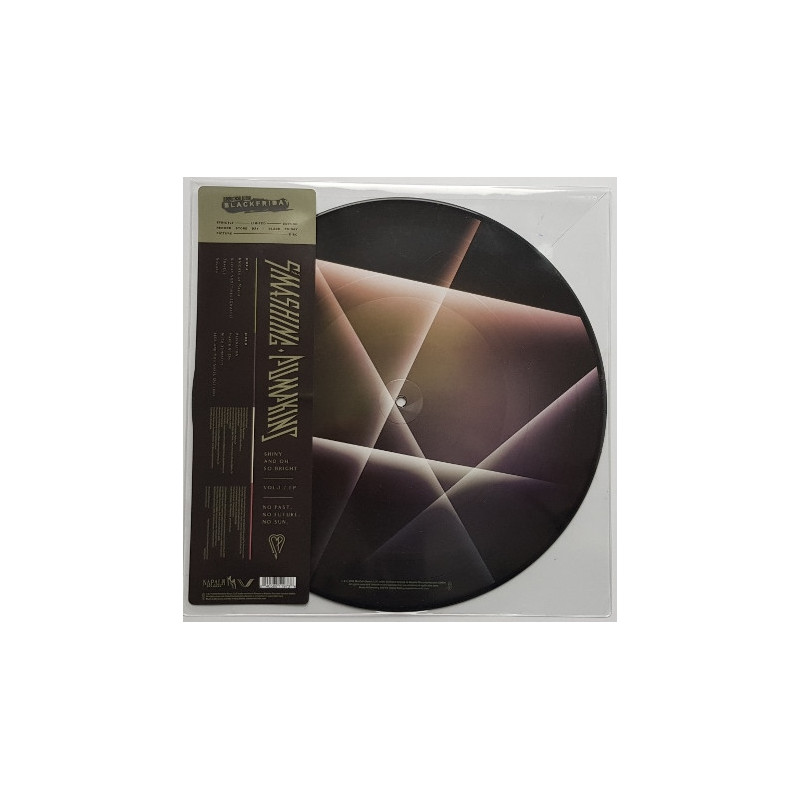The Smashing Pumpkins "Shinny and oh so bright Vol I-No past, no future, no sun" LP picture vinyl