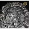 The Osiris Club "Blazing world" LP vinyl