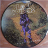 Black Spiders "This savage land" LP picture disc