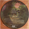 Black Spiders "This savage land" LP picture disc